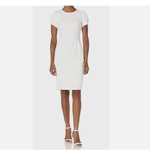 Calvin Klein | BNWT Tulip Sleeve Off-White Sheath Dress - Size 12